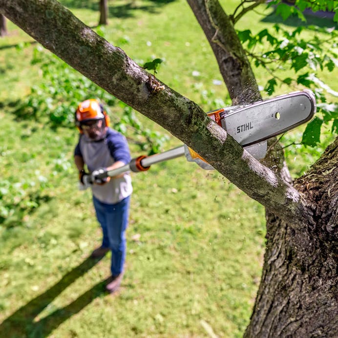STIHL® – HTA 86 Cordless Pole Pruner | 36V Battery‑Powered | Unit Only