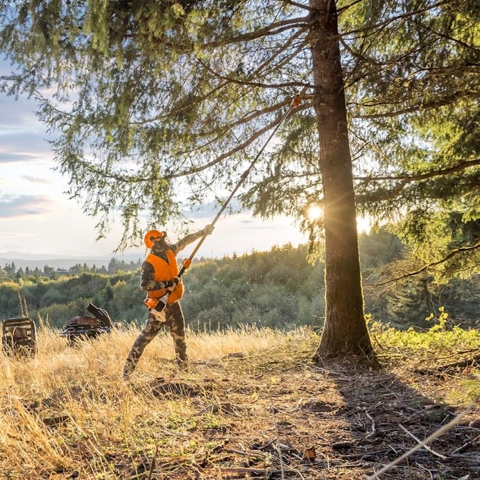 STIHL® HT 135 Z – 14in Gas Telescoping Pole Pruner | 36.3cc STIHL® Engine