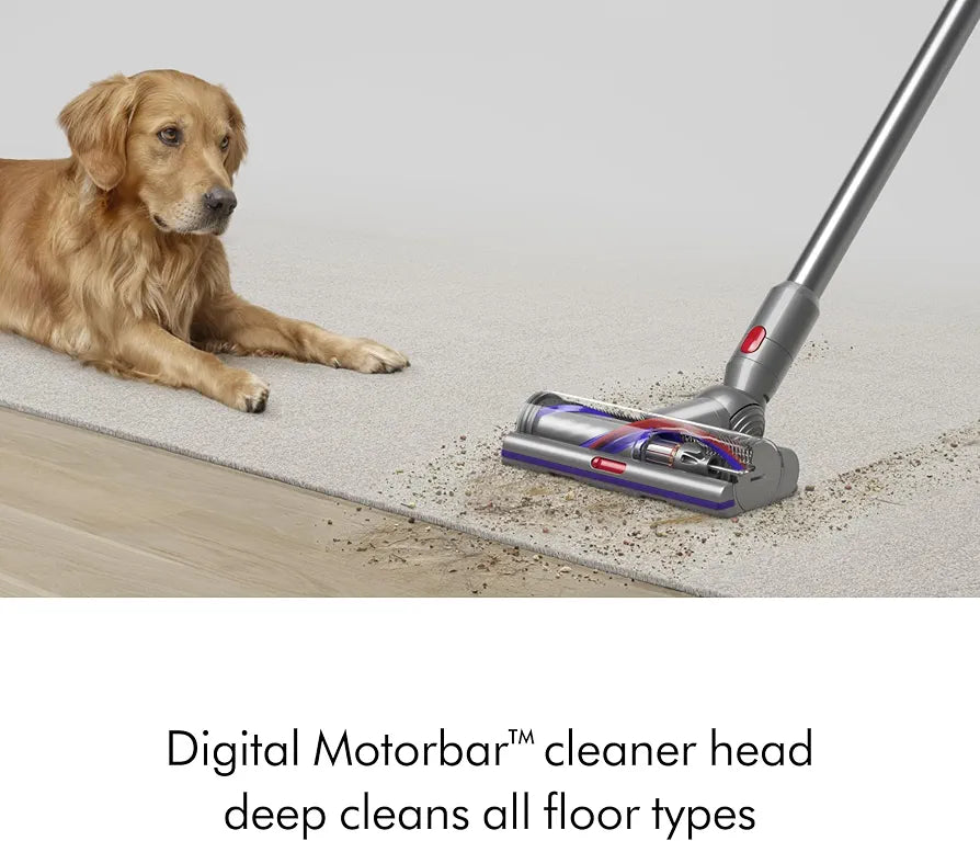 Dyson V15 Detect Cordless Vacuum