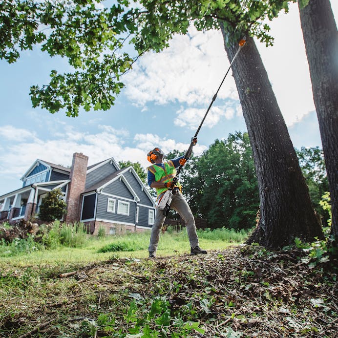 STIHL® HTA 135 Pole Prune BARE TOOL