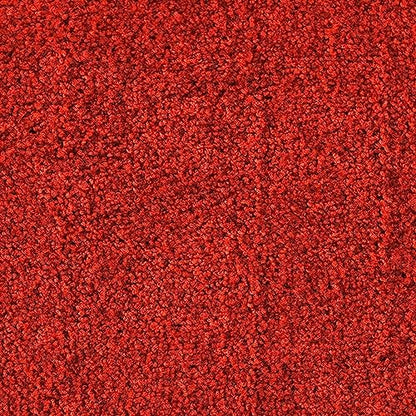 etm Robuste Schmutzfangmatte, Waschbar, Rutschfest, Hohe Reinigungswirkung für Zuhause & Gewerbed