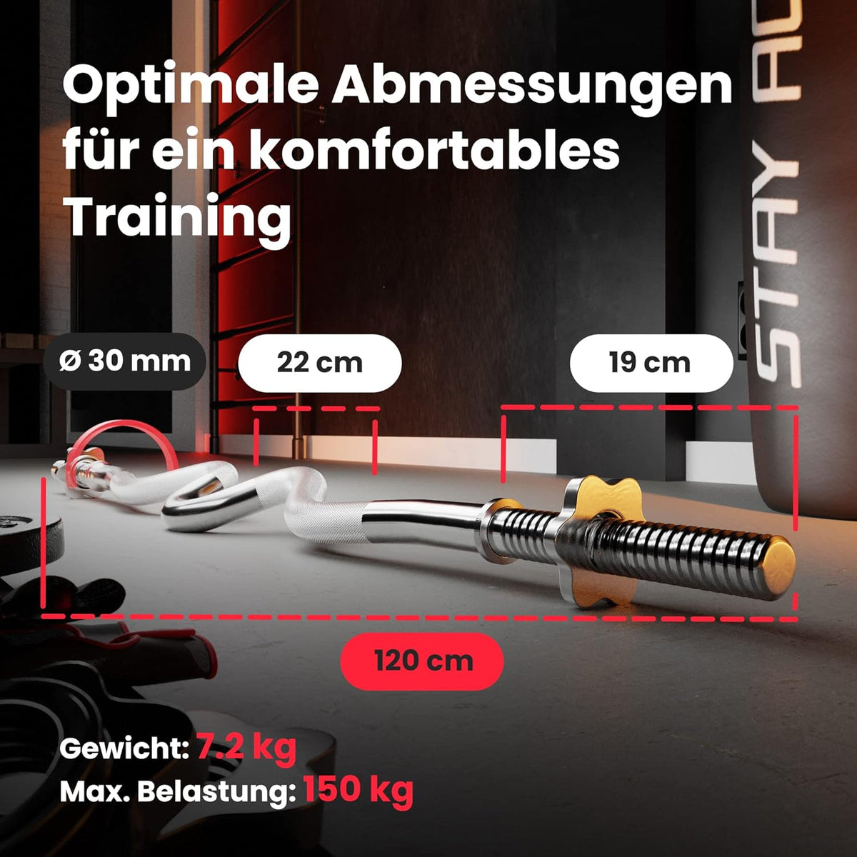 Klappbare Hantelbank mit Gewichten, Curlpult, Butterfly und Beincurler.l