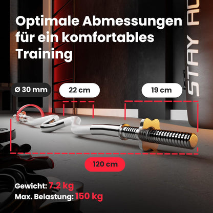 Klappbare Hantelbank mit Gewichten, Curlpult, Butterfly und Beincurler.l