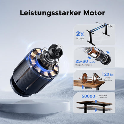 Agliestic Ergonomischer Höhenverstellbarer Steh-Sitz-Schreibtisch 160x80cm Doppelmotor Memory-Steuerung Homeofficed