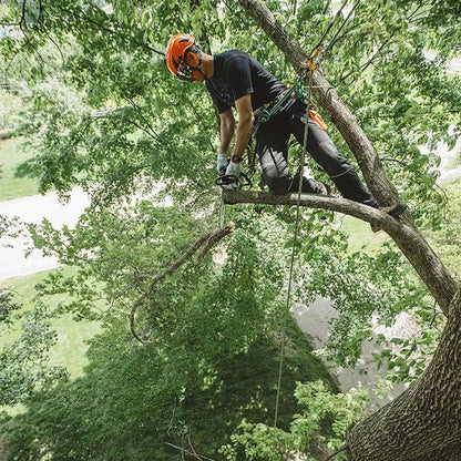 14" STIHL® MS 194 T Chainsaw
