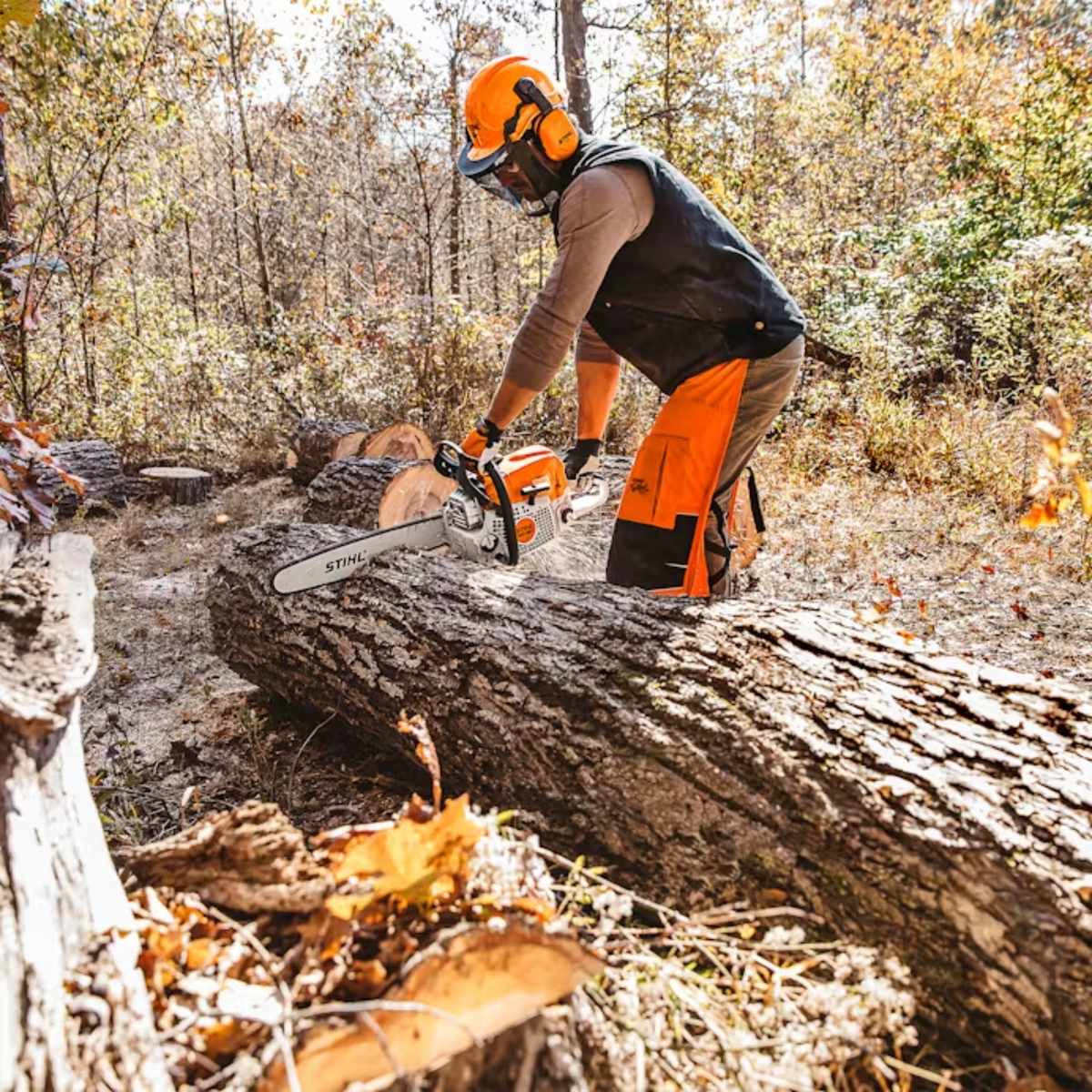 25" STIHL® MS 391 Chainsaw