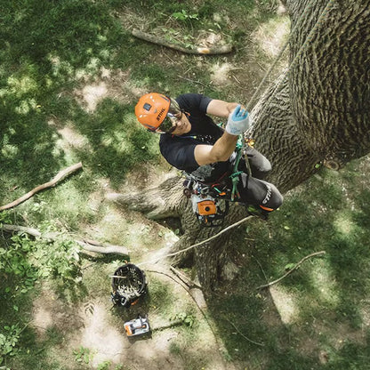 14" STIHL® MS 194 T Chainsaw