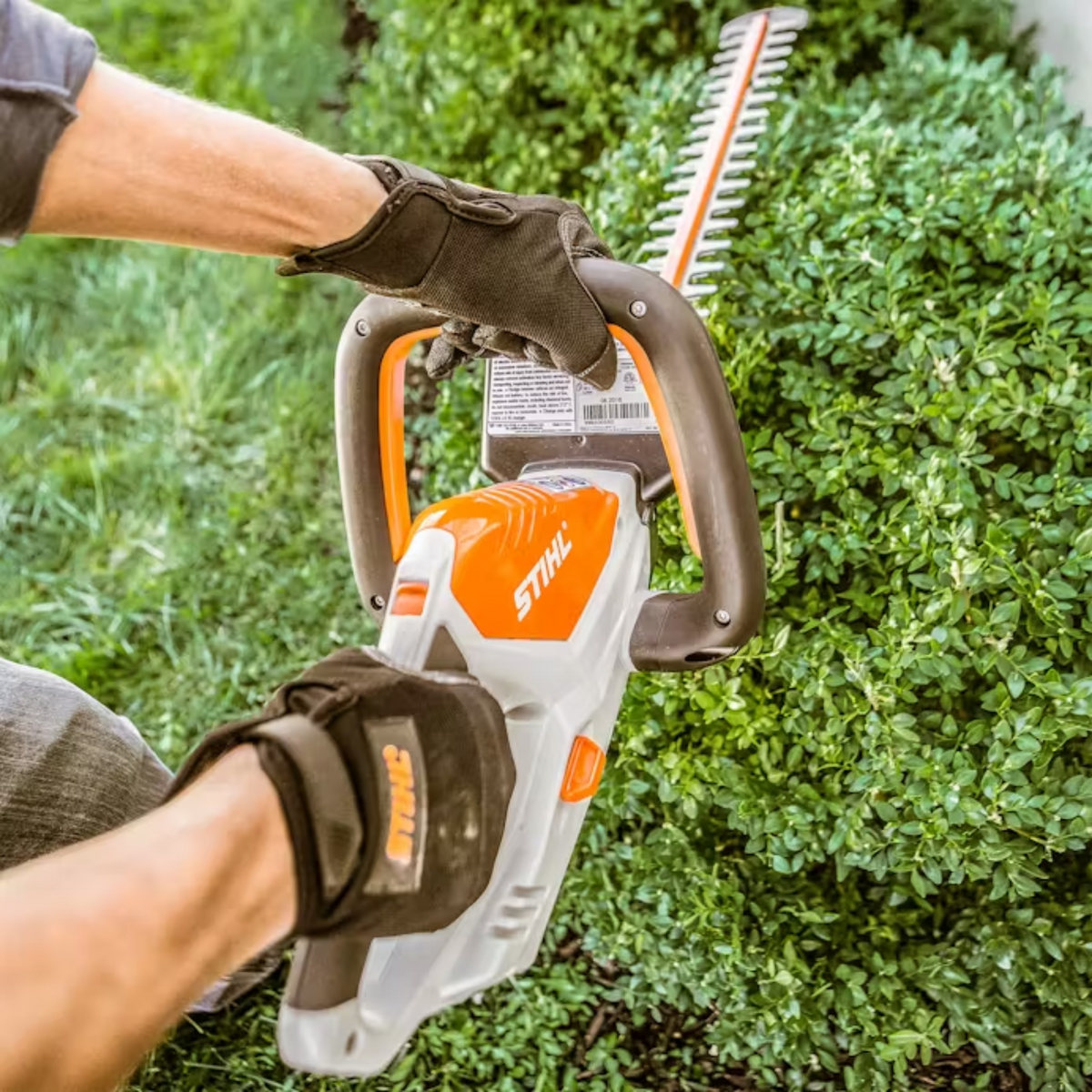 STIHL® HSA 40 Cordless Hedge Trimmer - AS System
