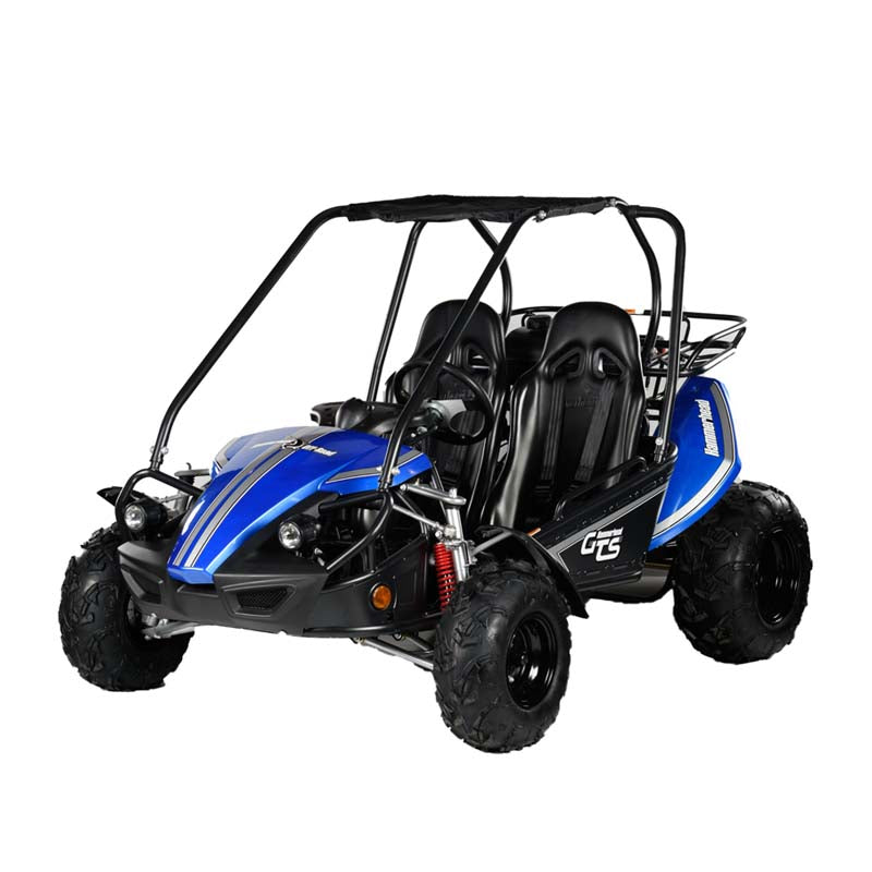 Hammerhead GTS 150 Go Kart Blue