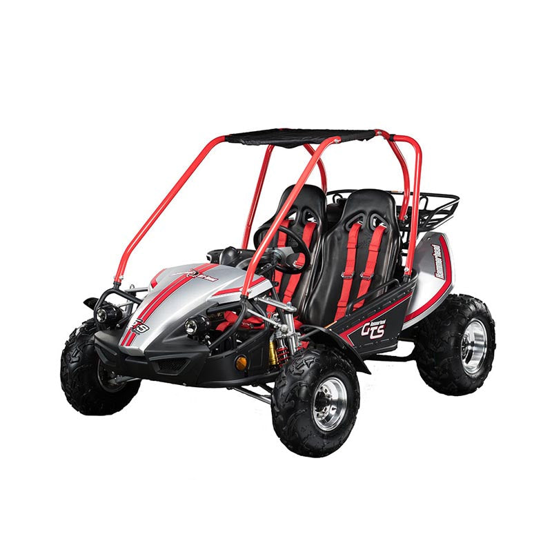 Hammerhead GTS 150 PLATINUM