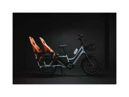 Rad Power Bikes RadWagon 5 Electric Cargo Bike